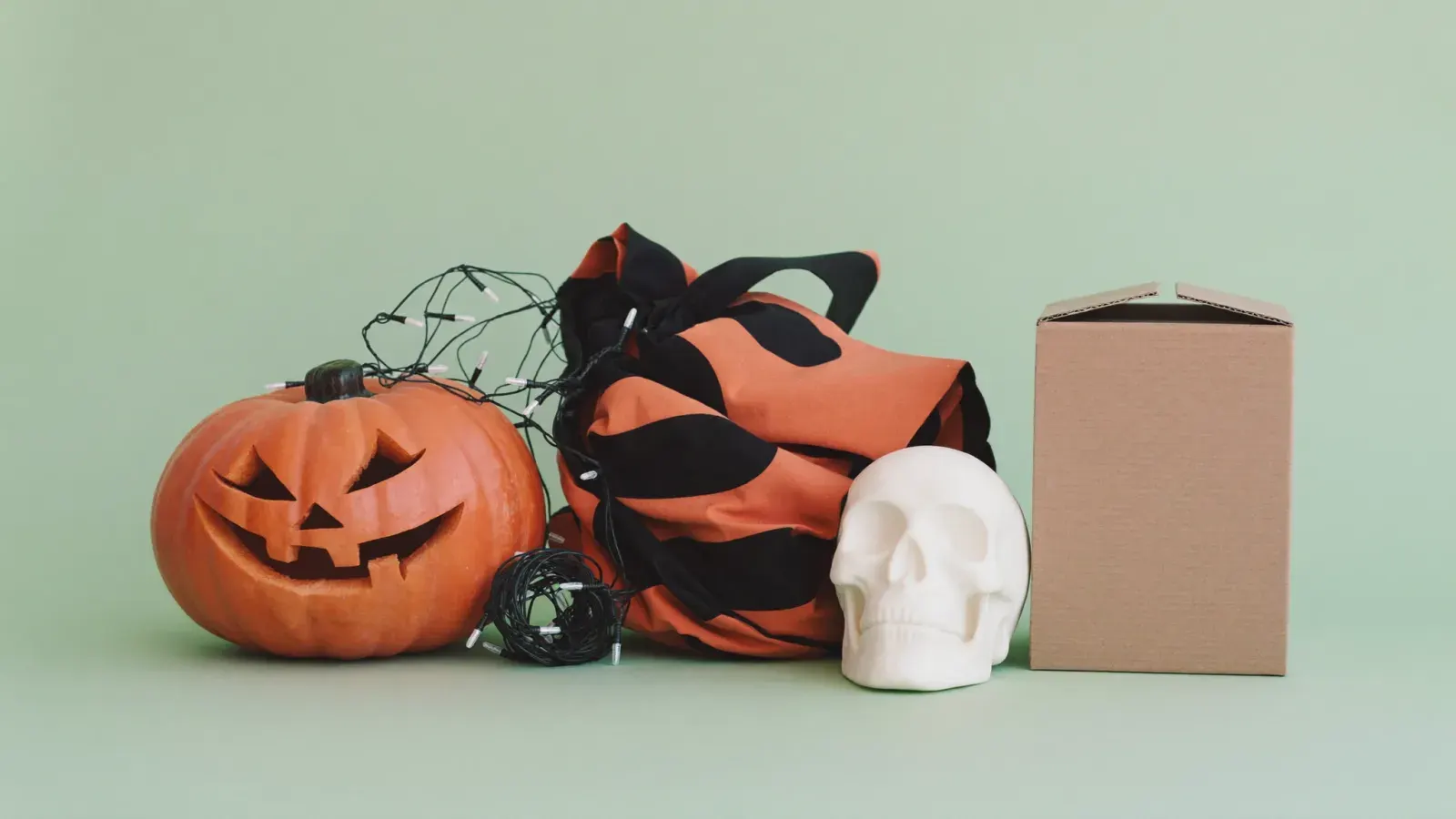 The kit for Halloween and seasonal, laid out on a plain background