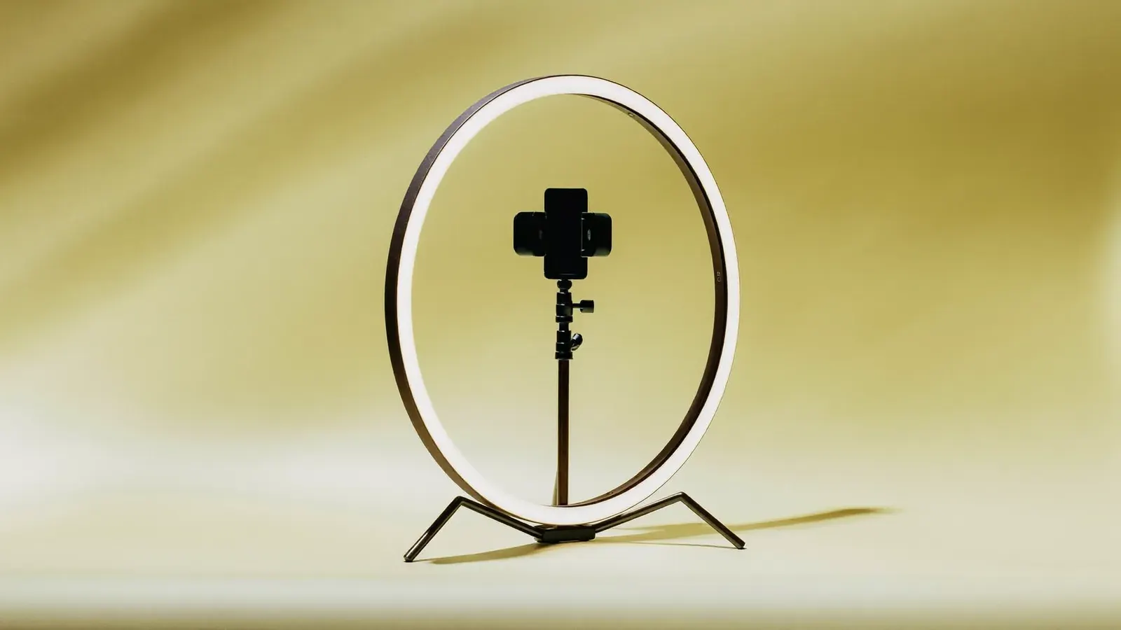 18 in ring light with stand
